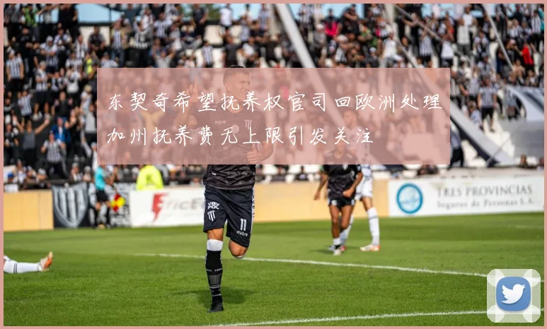 东契奇希望抚养权官司回欧洲处理加州抚养费无上限引发关注