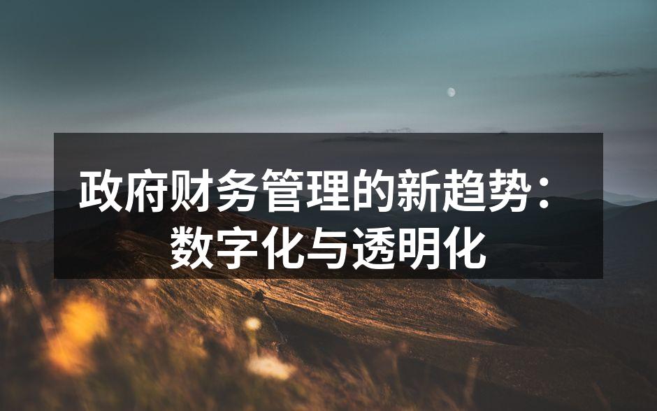 政府财务管理的新趋势：数字化与透明化